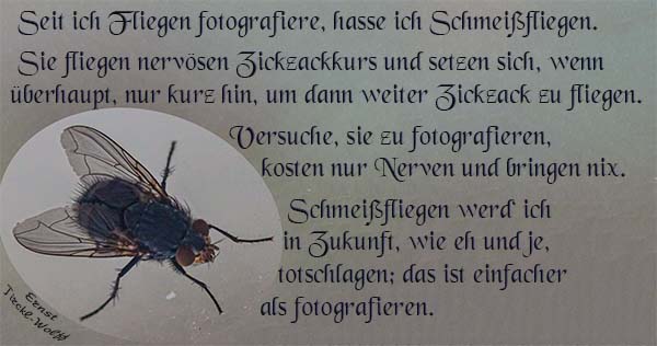 Aus dem Tagebuch eines Fotografen