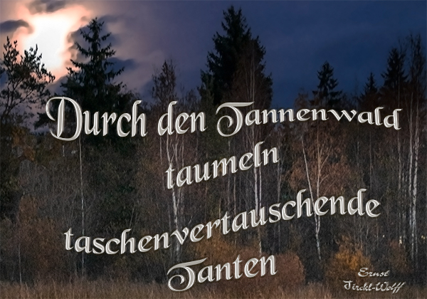 Tanten im Tannenwald