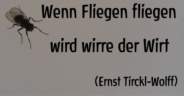 Von fliegenden Fliegen und wirrenden Wirten