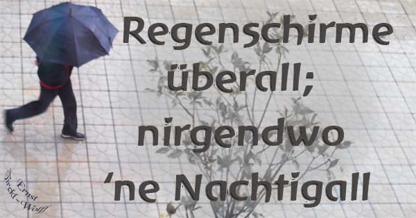 Regenwetter