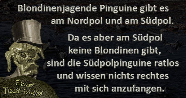 Suedpolpinguine