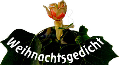 Weihnachtsgedicht